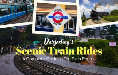 Darjeeling's Scenic Train Ride