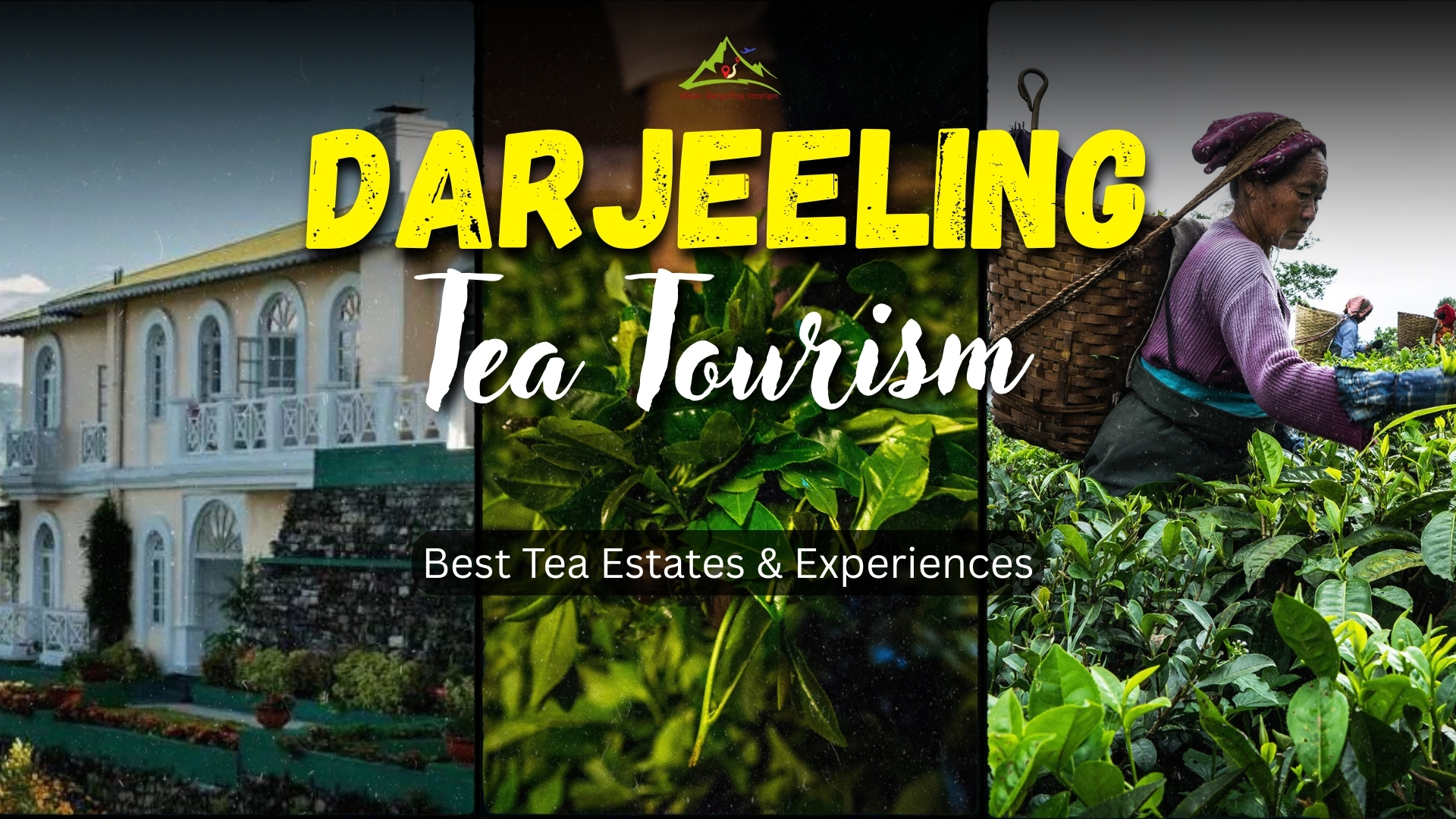 Darjeeling tea tourism