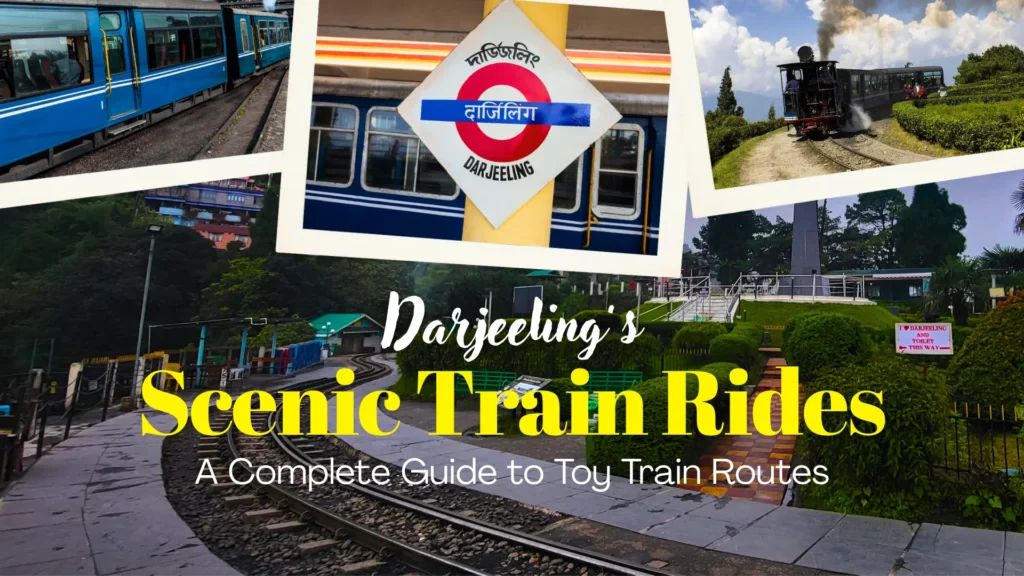 Darjeeling Scenic Train Rides