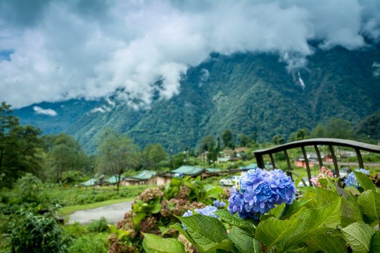 Yuksom, Sikkim