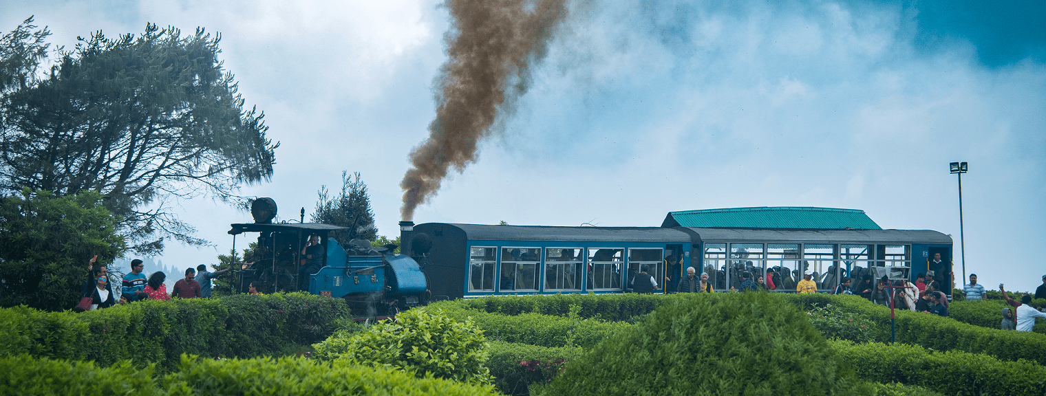 Tea Garden Experience