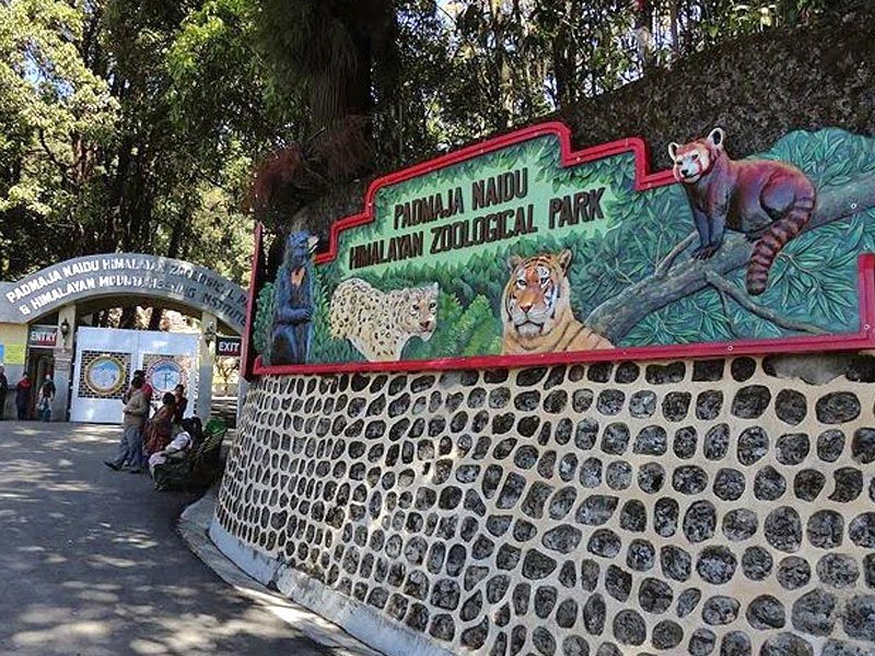darjeeling zoo